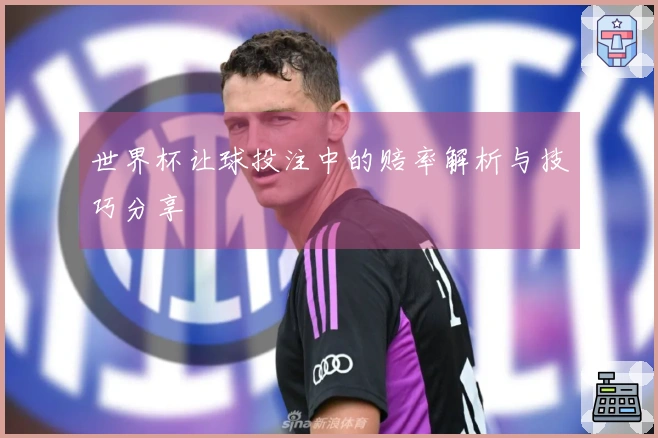 世界杯让球投注中的赔率解析与技巧分享