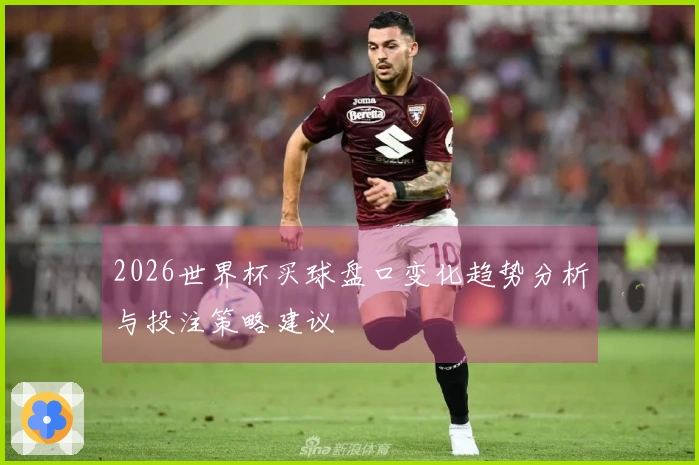 2026世界杯买球盘口变化趋势分析与投注策略建议
