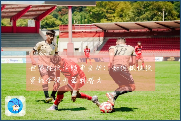 世界杯投注赔率分析：如何抓住投资机会提升盈利潜力