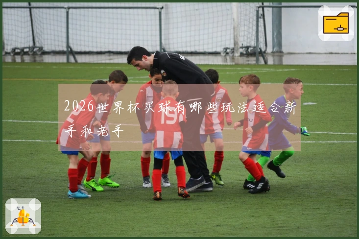 2026世界杯买球有哪些玩法适合新手和老手