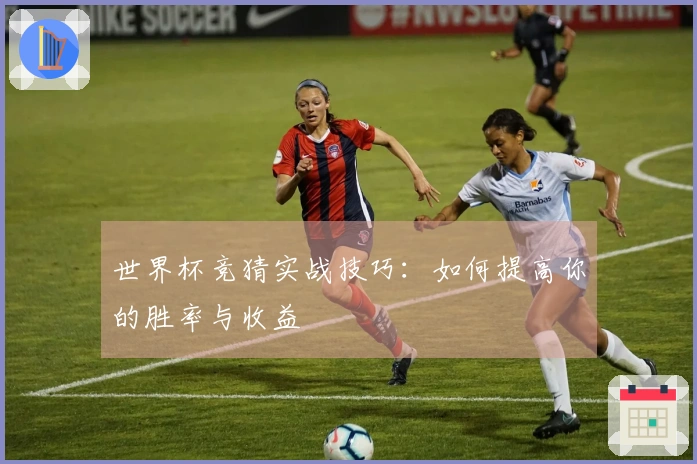 世界杯竞猜实战技巧：如何提高你的胜率与收益