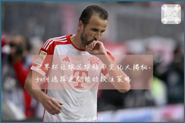 世界杯让球买球赔率变化大揭秘，如何选择更智能的投注策略