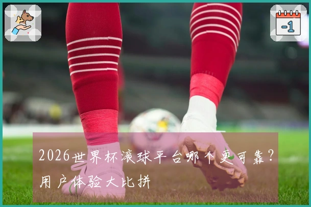 2026世界杯滚球平台哪个更可靠？用户体验大比拼