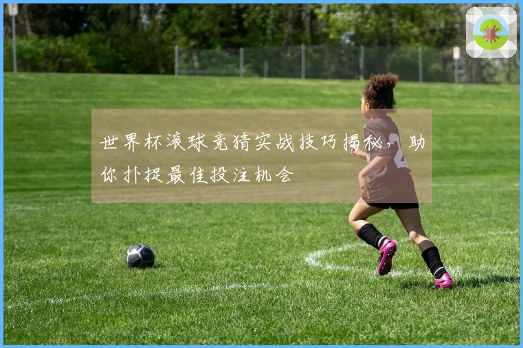 世界杯滚球竞猜实战技巧揭秘，助你扑捉最佳投注机会