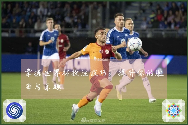 掌握世界杯投注技巧，提升你的胜率与乐趣