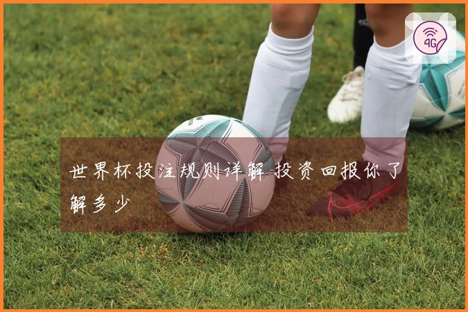 世界杯投注规则详解 投资回报你了解多少