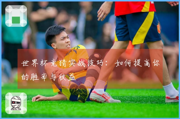 世界杯竞猜实战技巧：如何提高你的胜率与收益